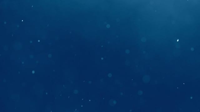 поднимающиеся белые частицы на голубом фоне_preview