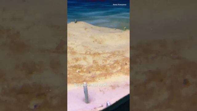 Вот, кто скрывается в песках