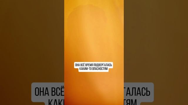 Путешествие Домой - Радханатха Свами, книга для тёплых вечеров ☺