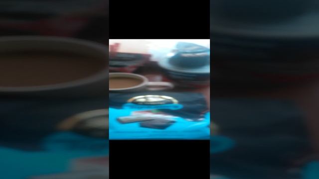 VID_20241127_152020.mp4