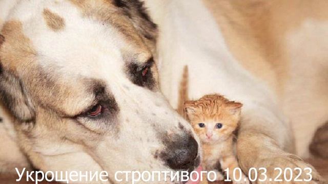 641 Укрощение строптивого 10.03.2023