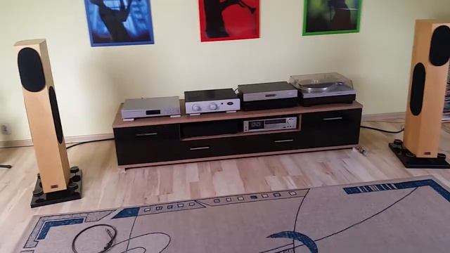 Unison Research UNICO  Audio Physic Tempo 5