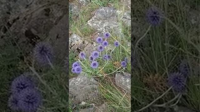 27 июля 2021 г.