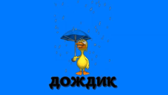 Такие разные слова