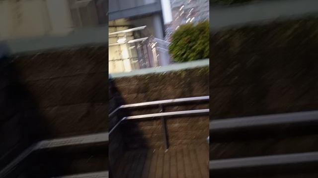 мы с Пойравом нажали кнопку часть 3