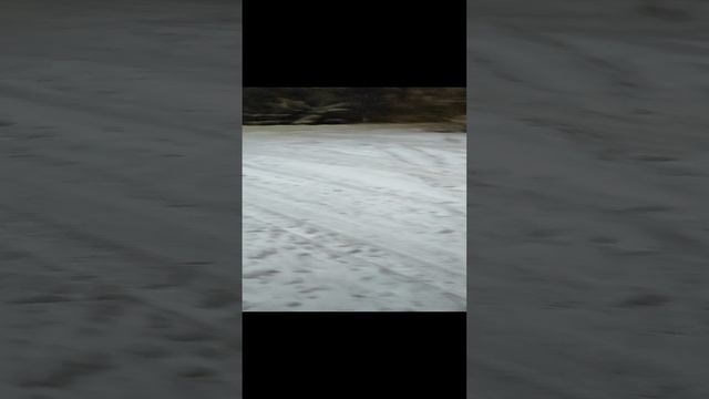 1000371844.mp4