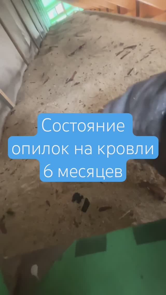 Как выглядят опилки на крыше через 6 месяцев | мыши в опилках #опилки #утепление #кровля #крыша