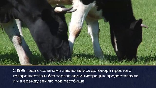 В Ростовской области могут в 2,5 раза увеличить размер участка земли под пастбище для личных нужд