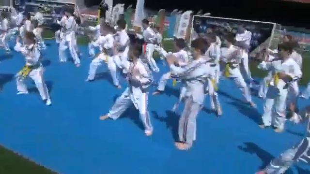 Фестиваль боевых искусств