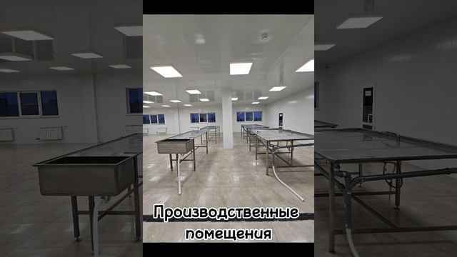 Холодильник за 118 000 000 рублей