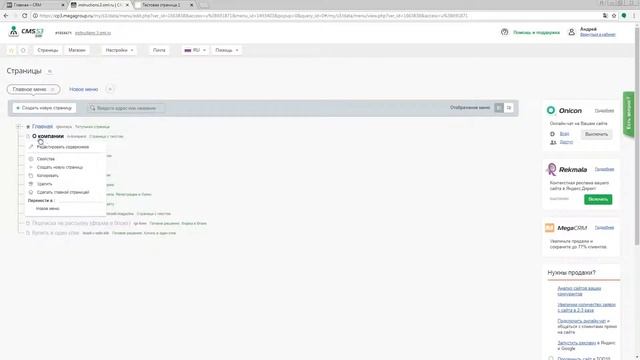 Можно ли разместить pdf файл CMS.S3 от Мегагрупп.ру