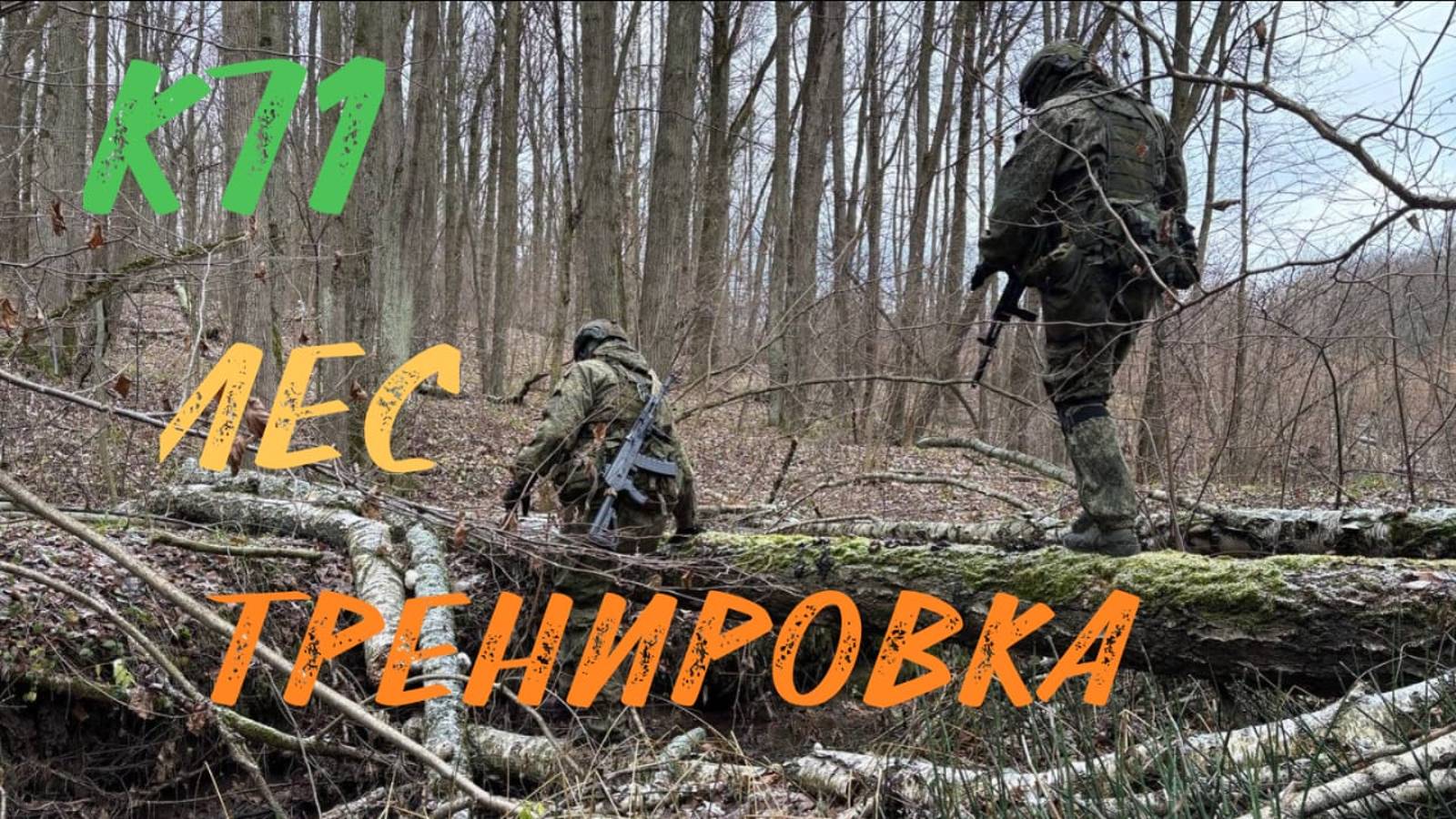 Лес, Тренировка 24.11.2024г.
