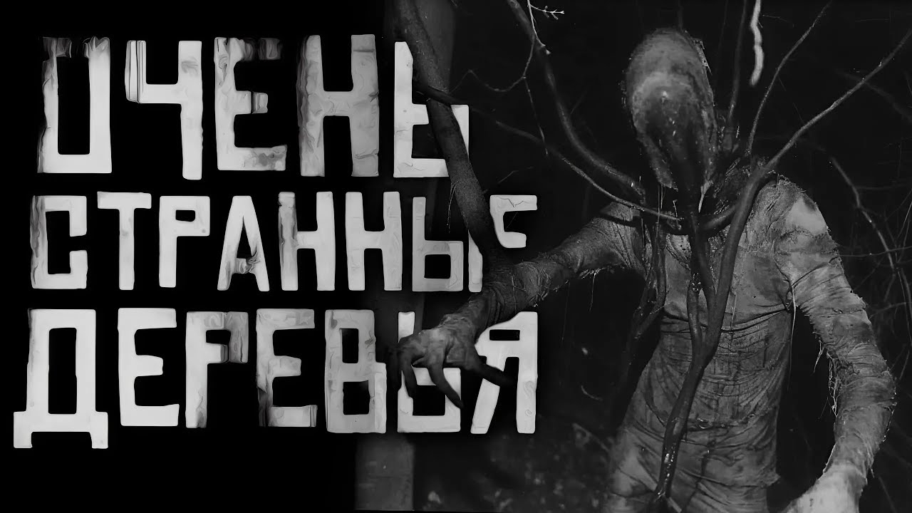 📹 ОЧЕНЬ СТРАННЫЕ ДЕРЕВЬЯ... Страшные истории на ночь. Страшилки на ночь. 
👤 #WorldBegemotKot_†_Ст