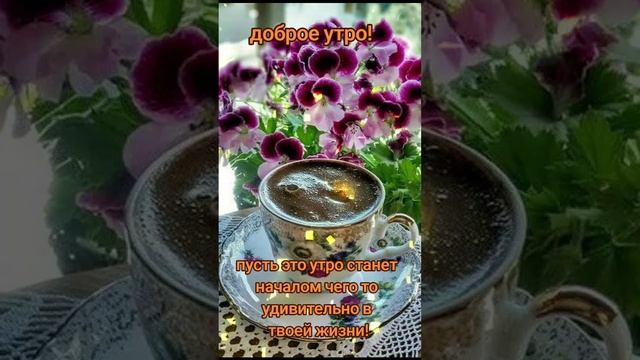 🔴 Доброе утро🥰Хорошего дня!🥰🥰🤗☕🍰🌞 #сдобрымутром #хорошегонастроения