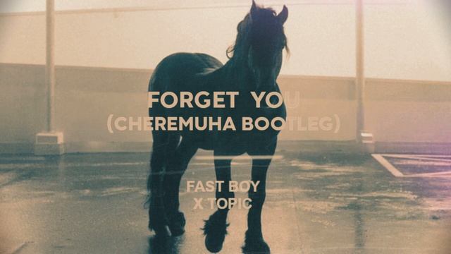 Fast Boy and Topic - Forget you (Cheremuha bootleg)