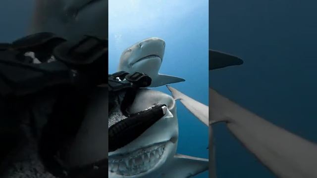 ssstwitter.com_1705364258106.mp4