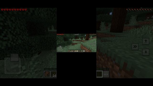 1000002489.mp4