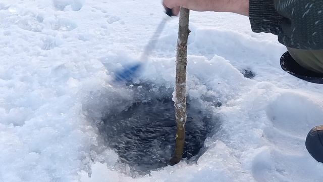 Тычки на налима.Отличное открытие сезона.