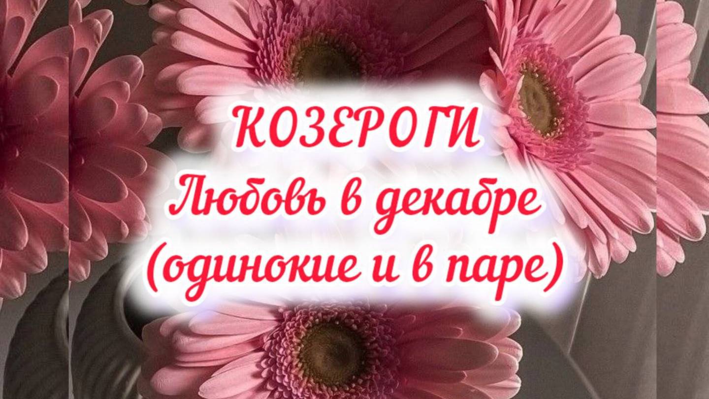 КОЗЕРОГИ - ЛЮБОВЬ в декабре 24г. (одинокие и в паре).