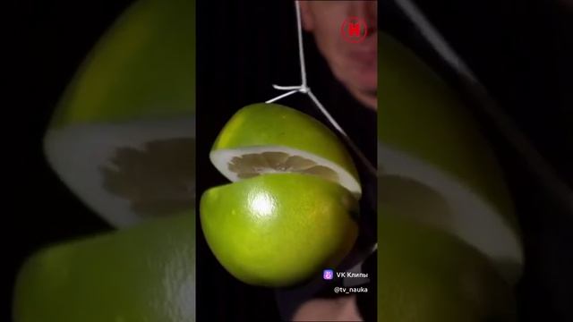как вам