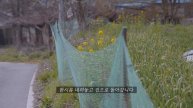 SUB) 깨끗한 집을 유지하기 위한 작은 습관🏡 예쁘게 집 꾸미며 정리하는 일상 (인테리어 2편) Tips to Keep the Home Clean and Neat