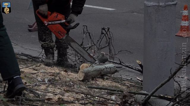 26 ноября. Обрезка деревьев