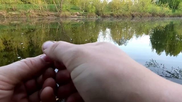 РЫБАЛКА У ДОМА!ТРОФЕЙ С ПЕРВОЙ ПРОВОДКИ!