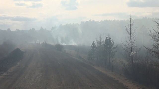 В Бурятии отстояли от лесного пожара село
