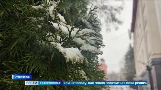 Утро на Ставрополье началось со снега