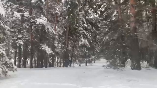 1000024098.mp4