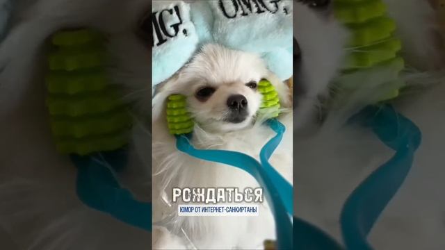 😱 Реинкарнация 😱