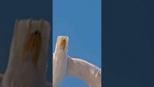 Ты даже не знаешь