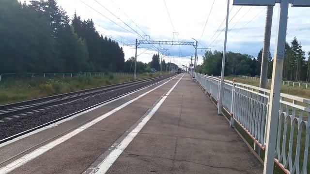 "Скоростная ливрея" : электровоз ЧС200-009 со скоростным поездом "НЕВСКИЙ ЭКСПРЕСС", Трубниково