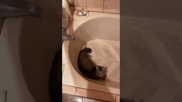 Ты не посмеешь