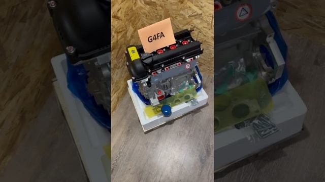 g4faDVS (1)