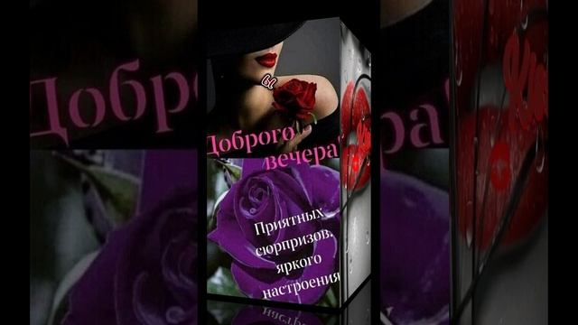 Доброго вечера, хорошего отдыха ❤ 💋