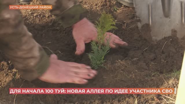 100 туй от участника: новую аллею заложили в Усть-Донецком районе