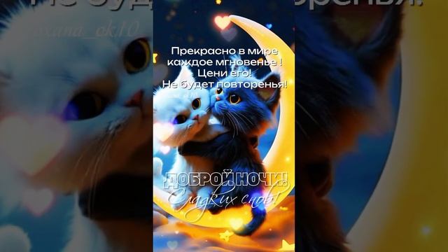 #добройночи