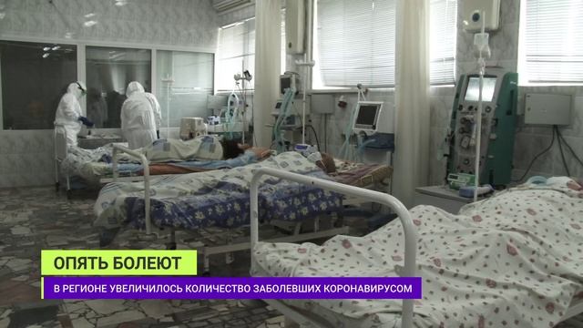 ДАЙДЖЕСТ 27.11.2024 ВЕЧЕР
