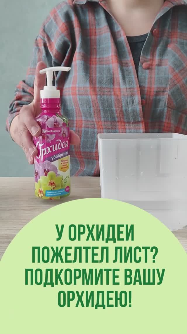 Что делать, если у орхидеи желтеют листья?