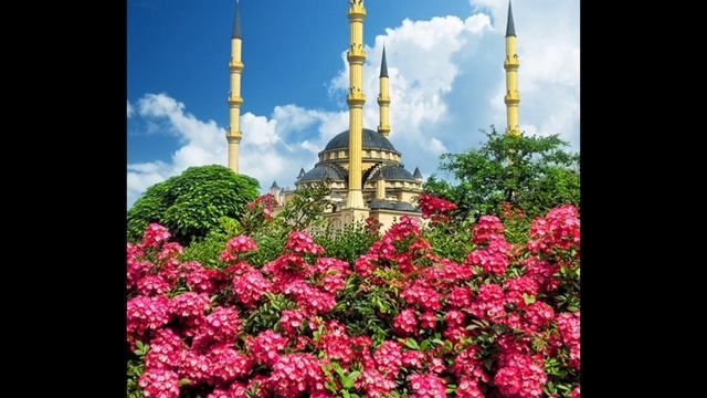 ГРОЗНЫЙ НЕСЁТСЯ НА ВСЕХ ПАРУСАХ