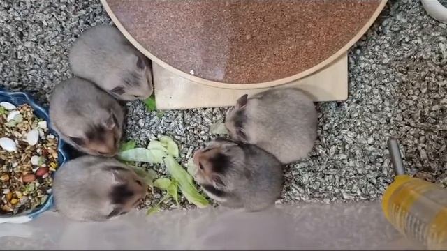 1000329446.mp4