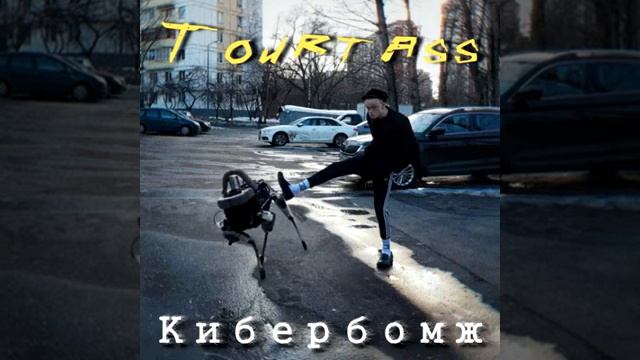 Tourtass - Кибербомж (audio)