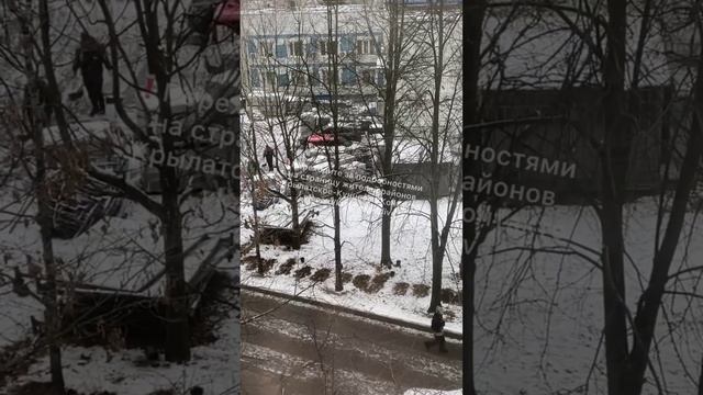 Пока подморозило, самое время сажать кустарники возле управы района Крылатское 🪴