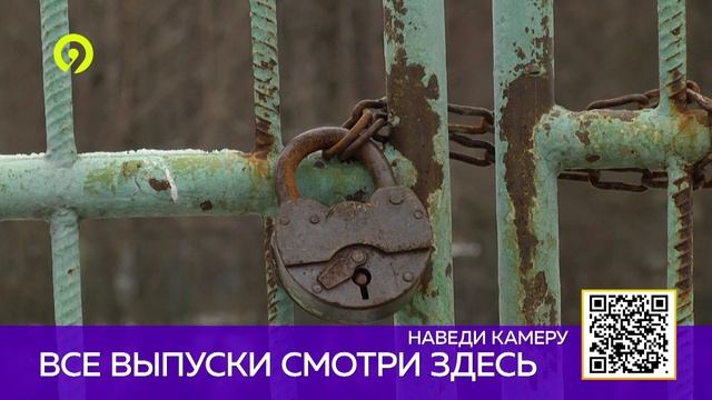 Давеча вечерний выпуск 27.11.2024