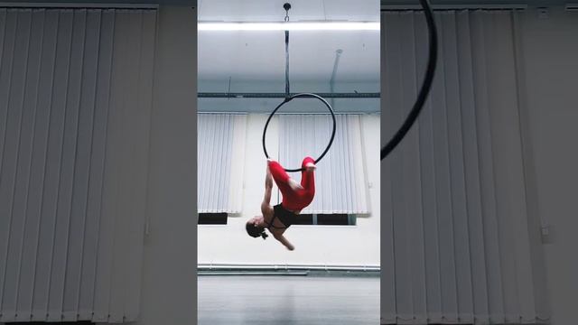 Aerial Hoop 2023