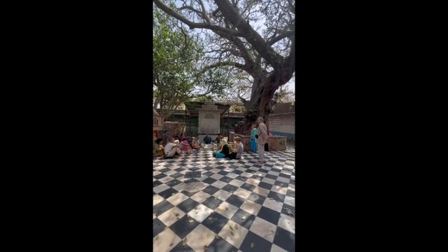 Вриндаван, 2024