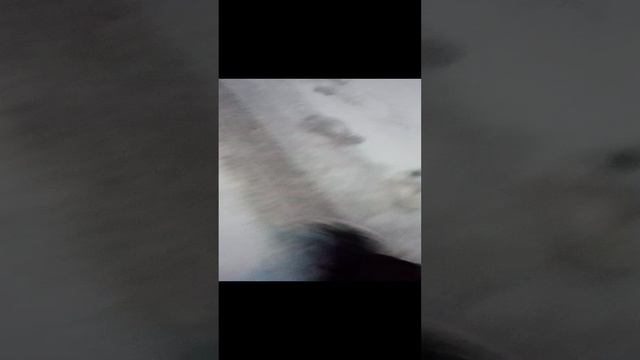прогулка с Якуром 3 часть