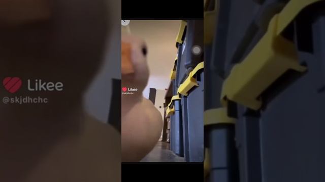 Гуся решил подраться 👊