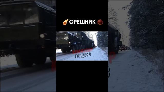Узнав про «Орешник», Зеленский перешел на боярышник😏